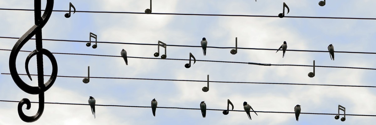 birds-2672101_1280.jpg