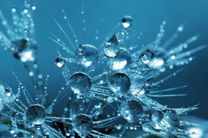water-839590_1920-768x509