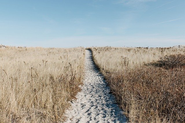 prairie-1246633_640