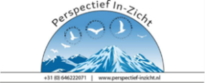 Logo-Perspectief-inzicht-1-300x122