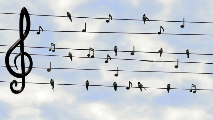 birds-2672101_1280